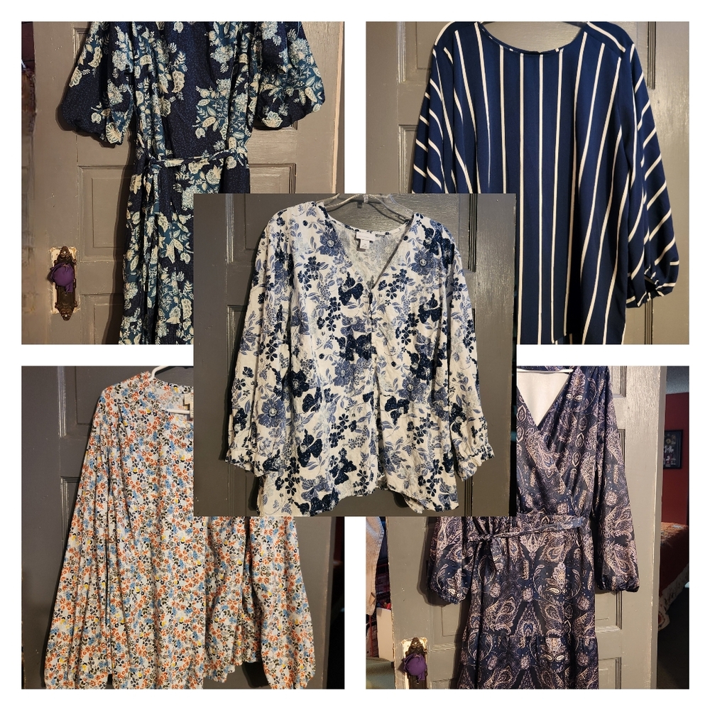 Lot Of 5 Plus Size Clothing Items